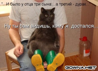 Toyota Highlander Club - котэ!