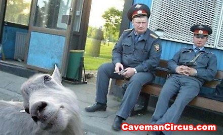 к
