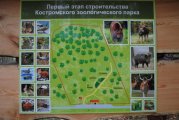 План зоопарка