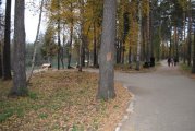 Аллея