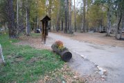 Начало осмотра
